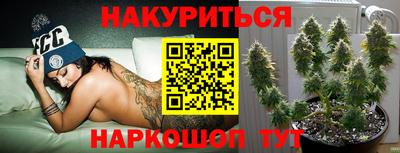 мдпв Апшеронск