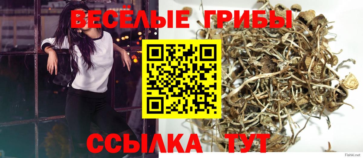 сколько стоит  Галлюциногенные грибы мухоморы  Вход с VPN  Чистополь 