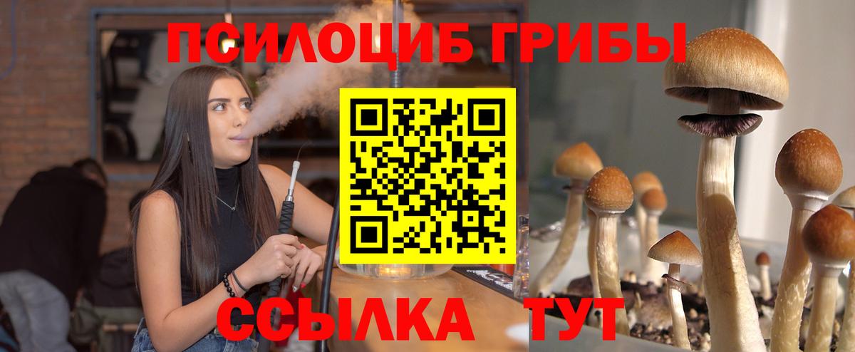Галлюциногенные грибы MAGIC MUSHROOMS  Чистополь  Псилоцибиновые грибы Psilocybine cubensis 