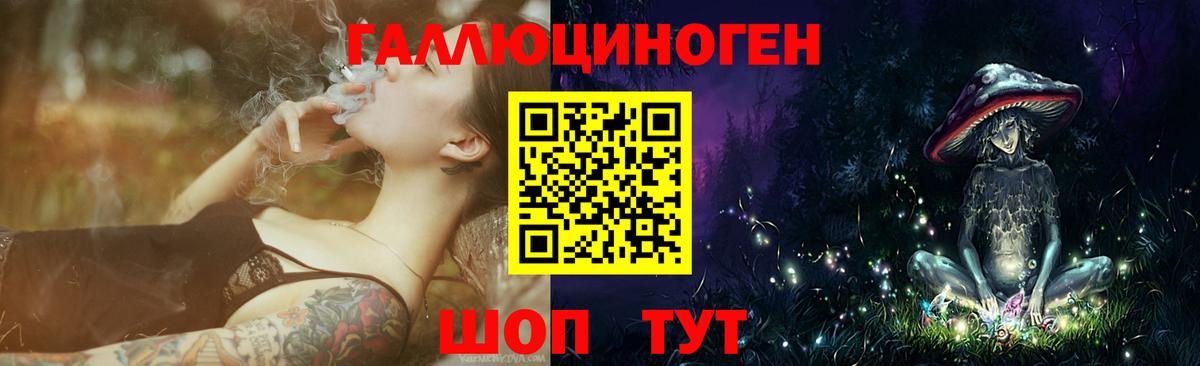 Псилоцибиновые грибы Psilocybe Чистополь